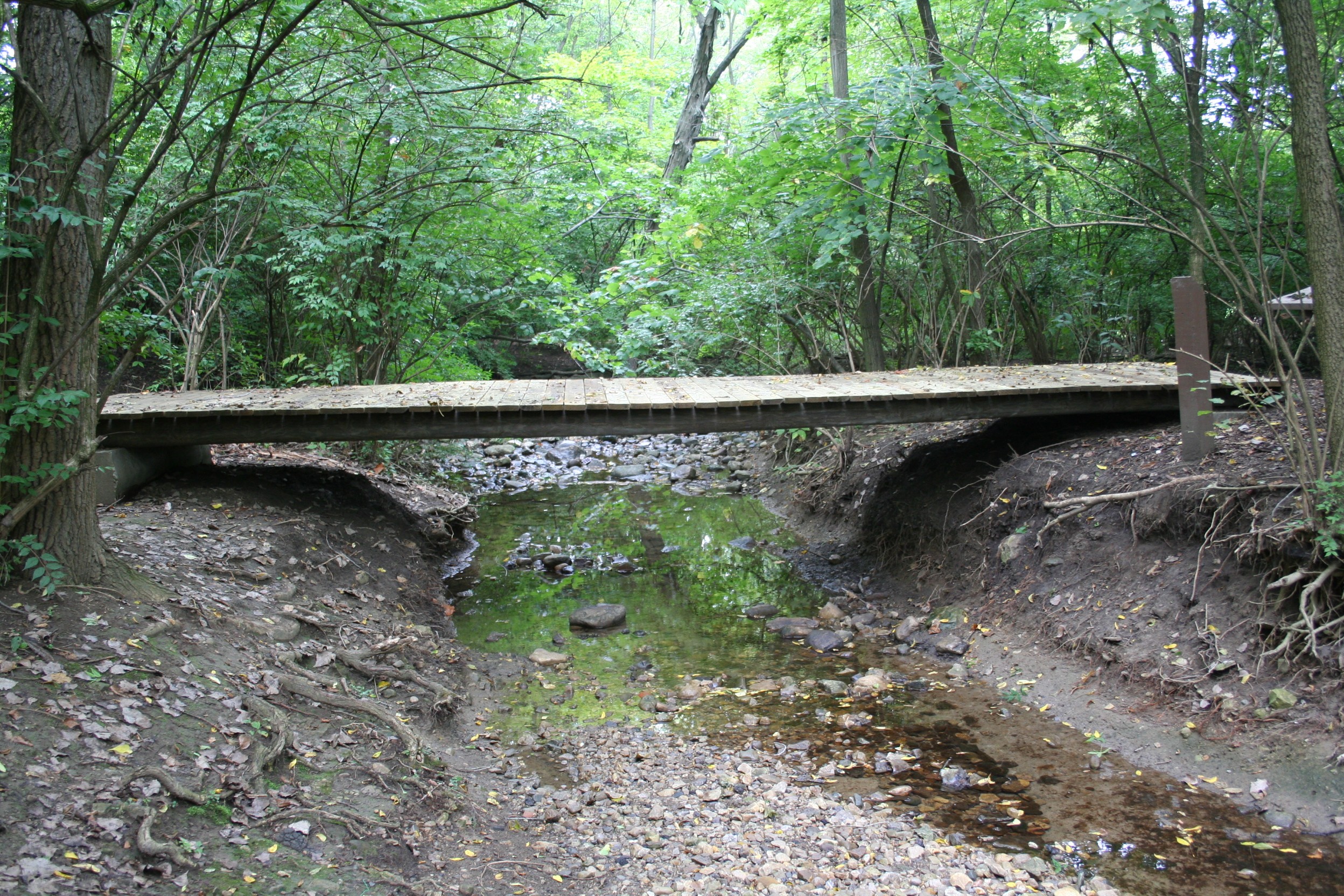 Smith Nature Park Bridge