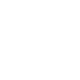UA Bear Logo White @ 256