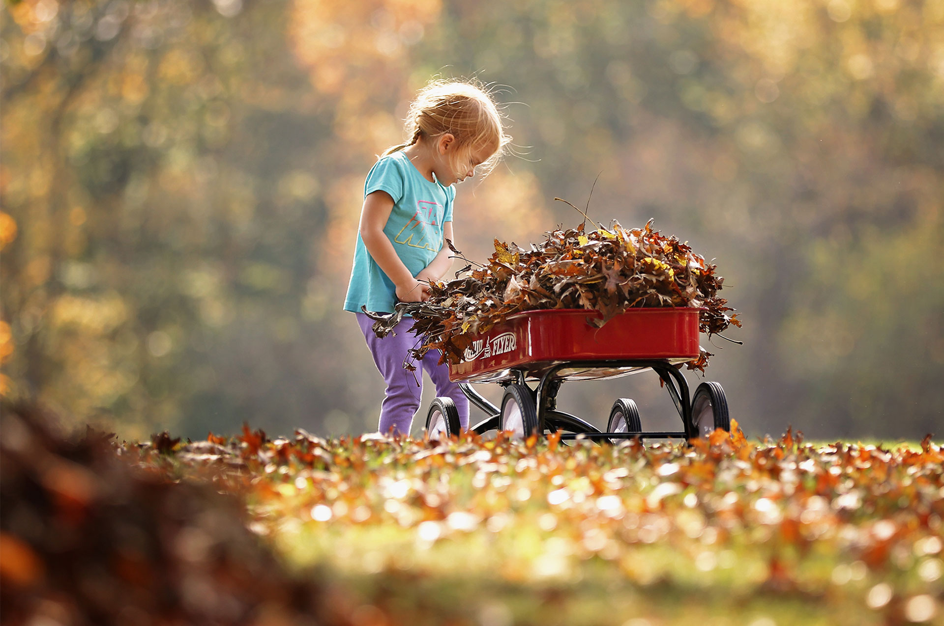 Adorable Leaf Collection