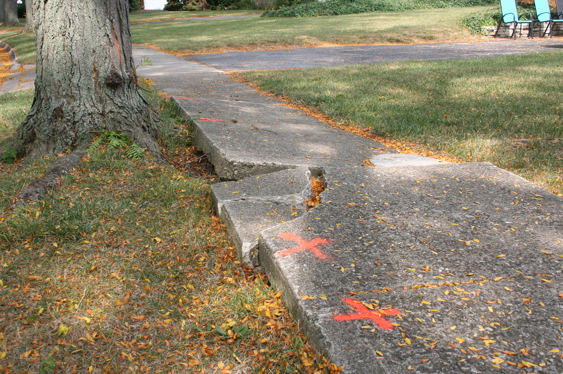 Sidewalk Damage