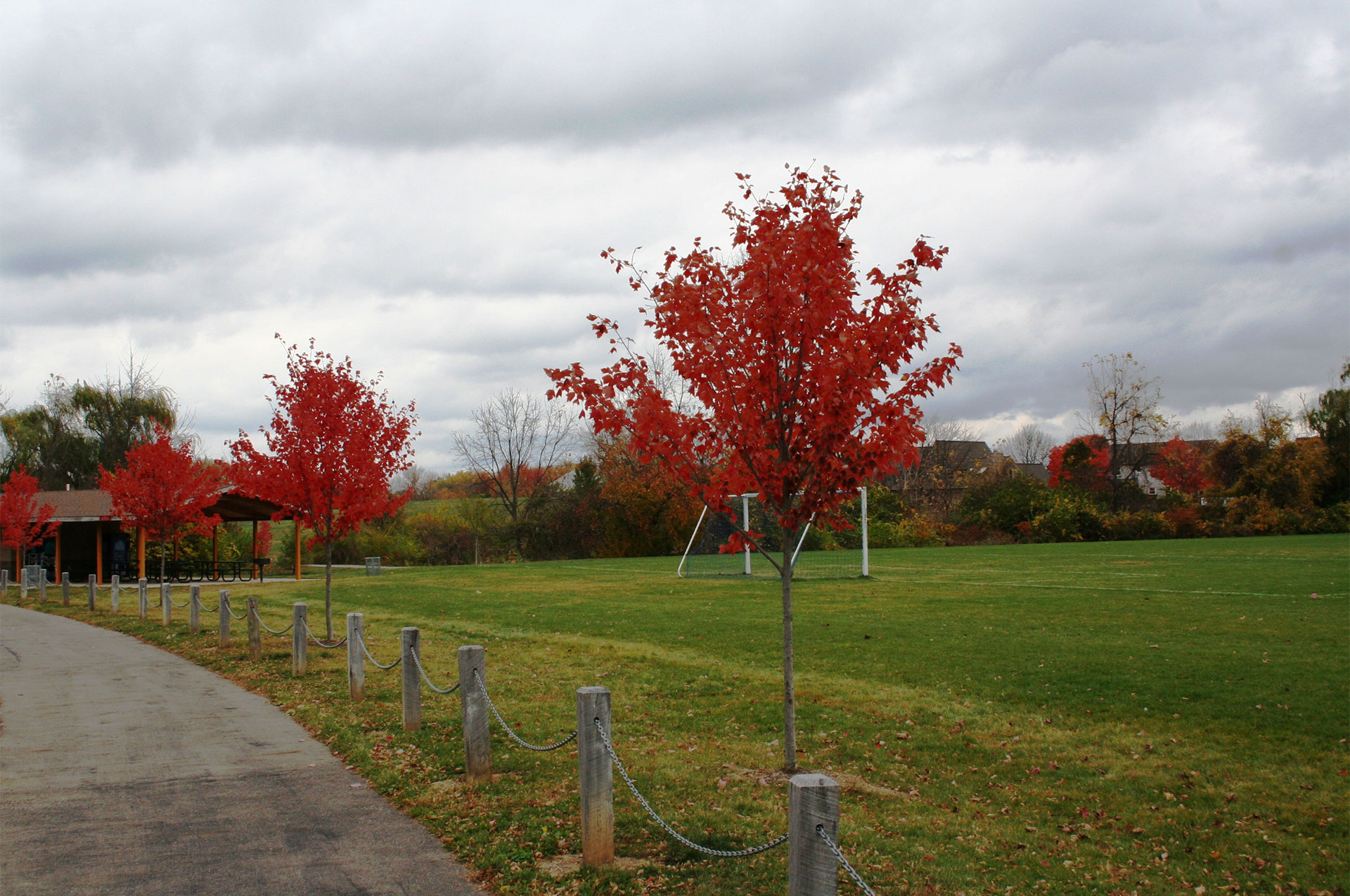 Burbank Park in Fall