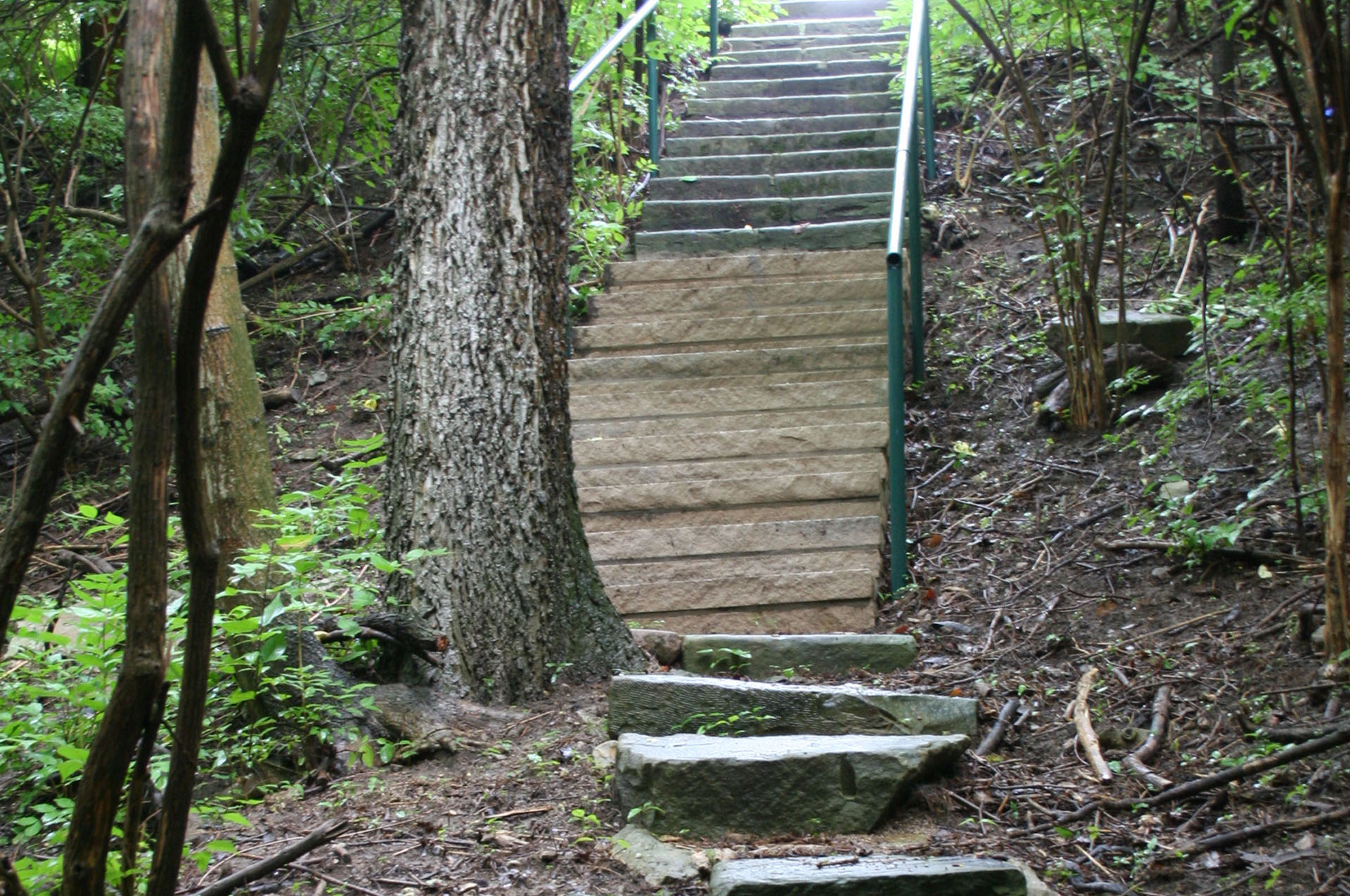 Miller Park Ravine