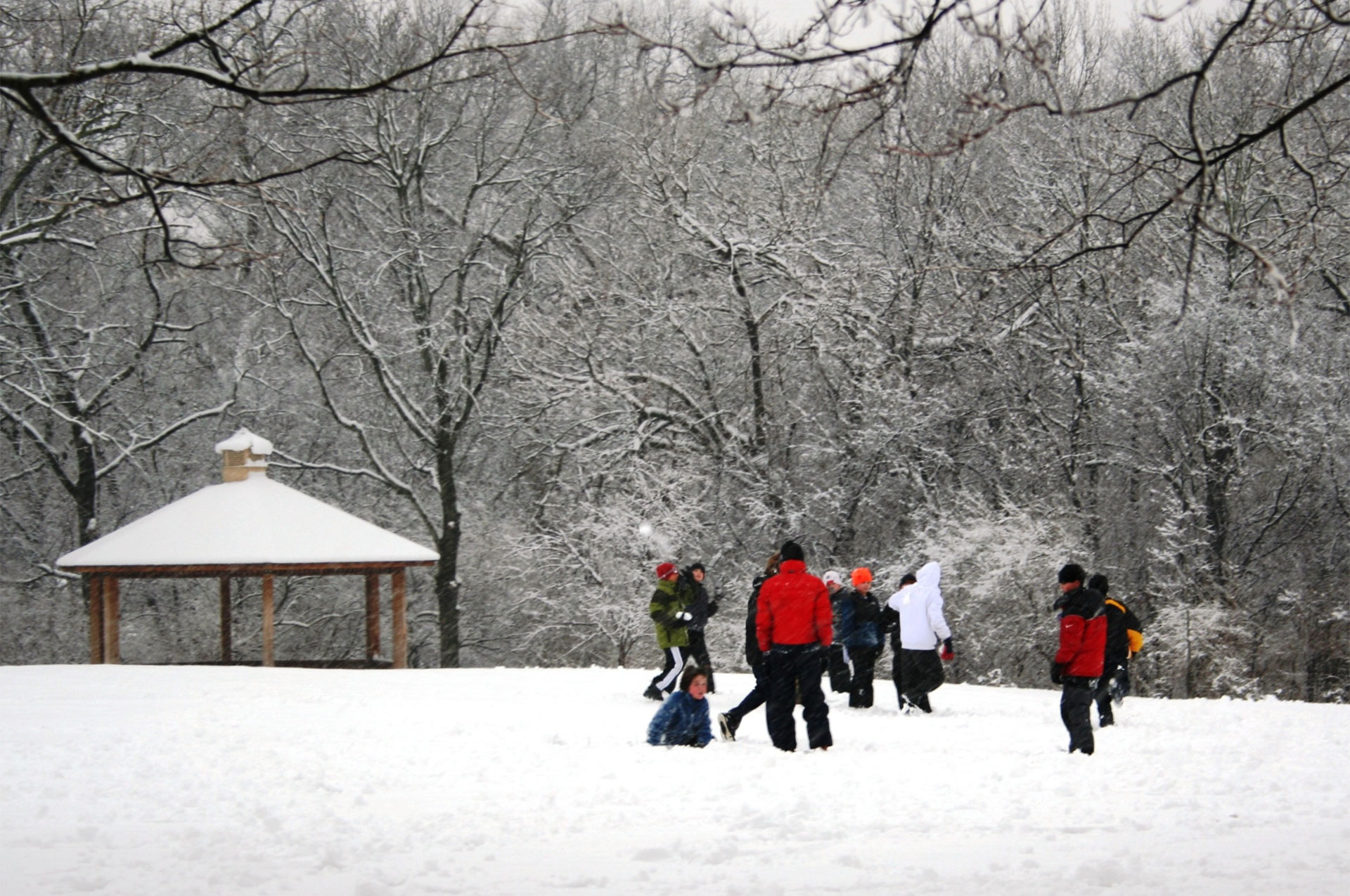 Miller Park in Winter