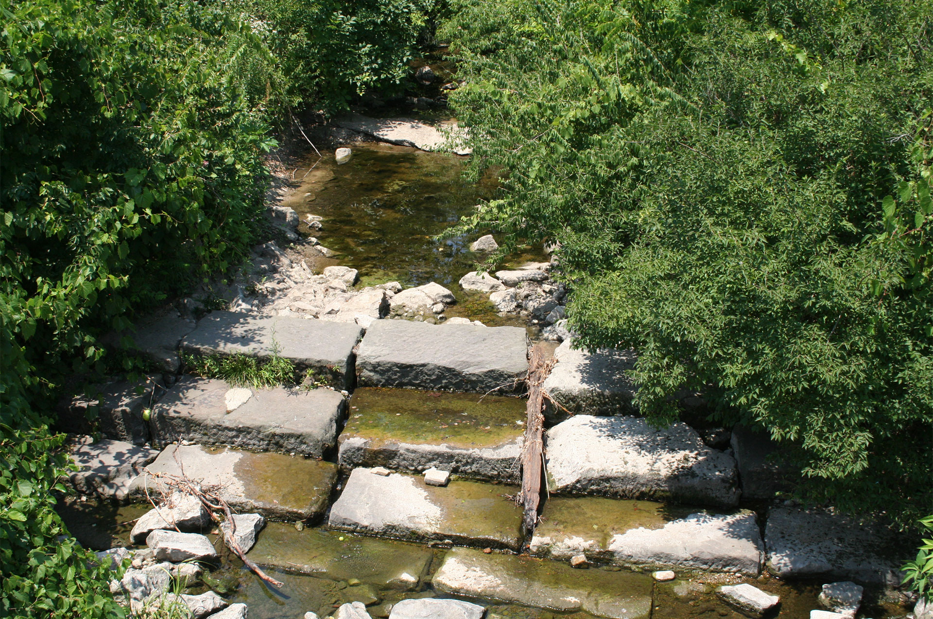 Reed Road Stream