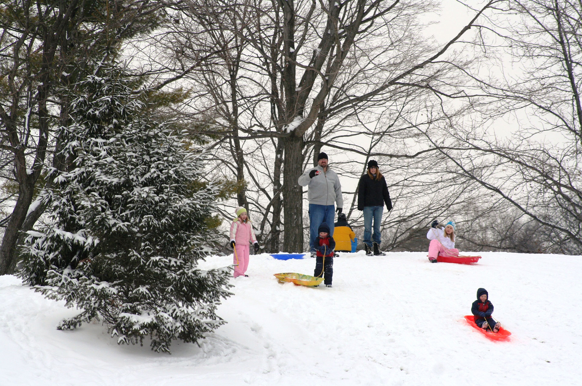 Thompson Park Sledding