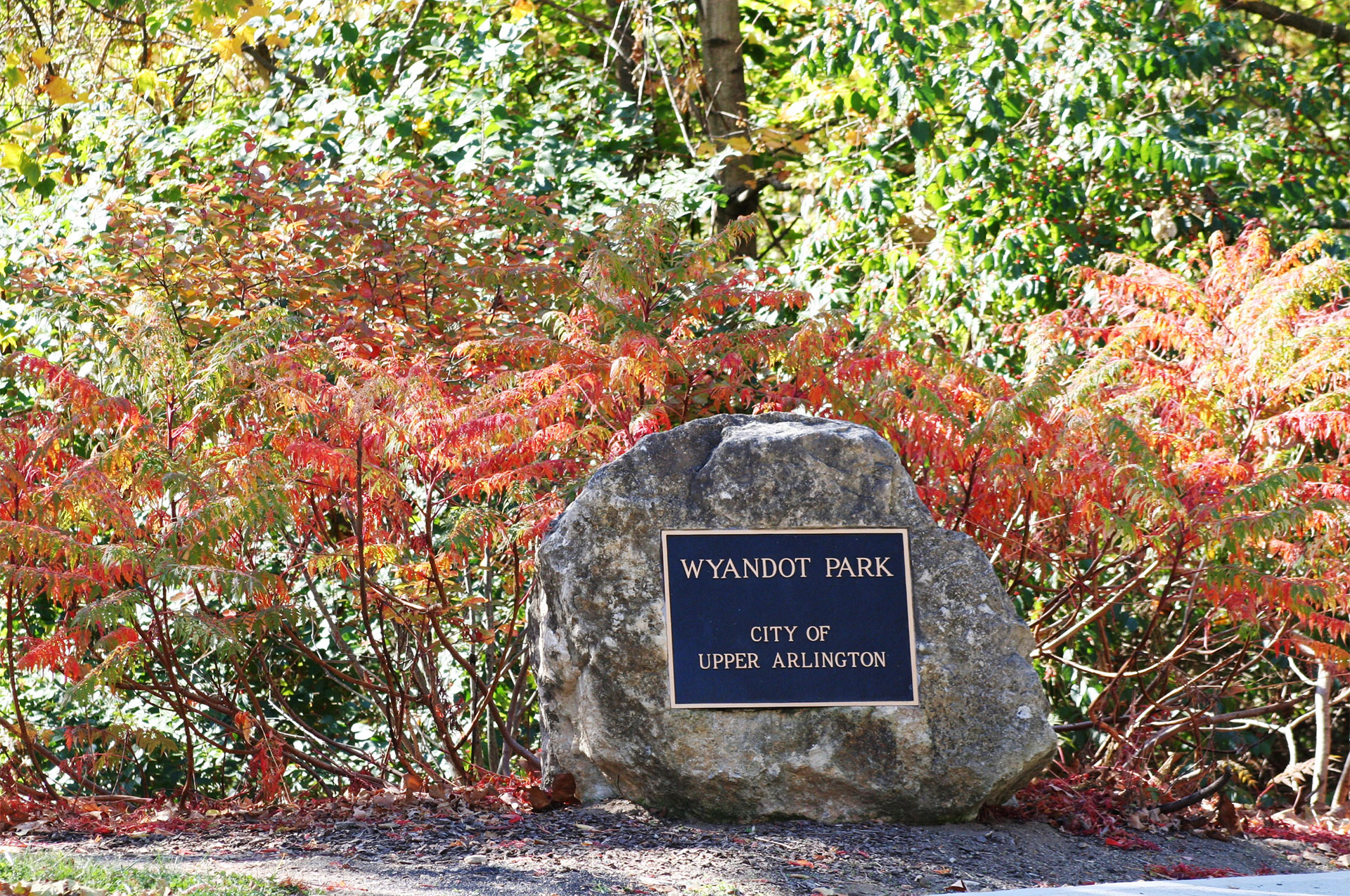 Wyandot Park Sign Fall