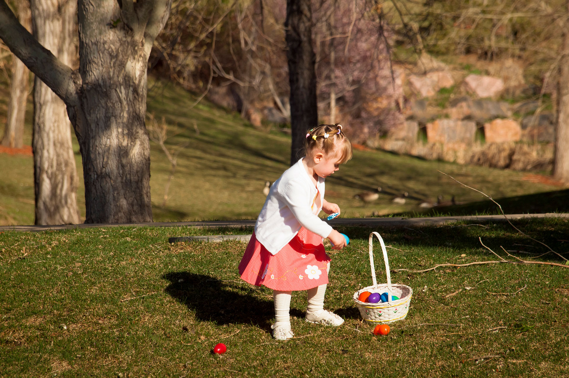 Easter Egg Picker