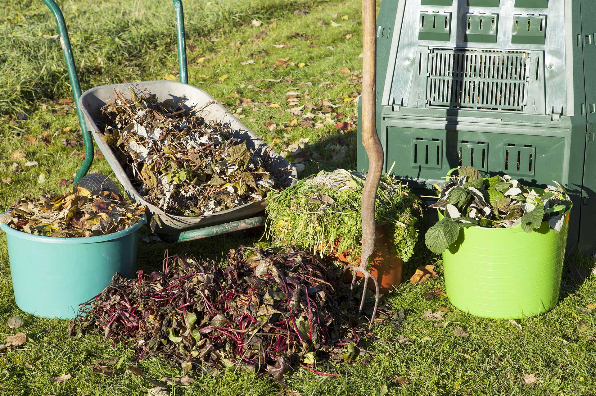 Leaf Compost