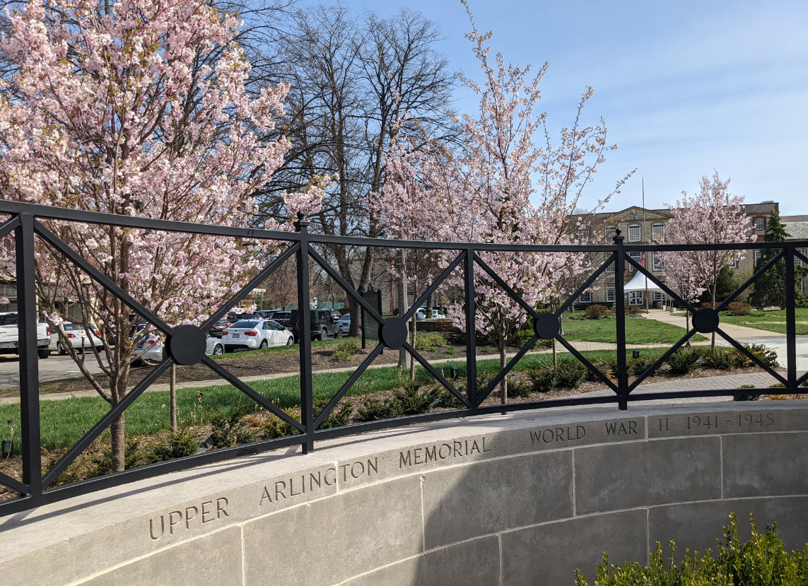 Mallway Park Cherry Trees