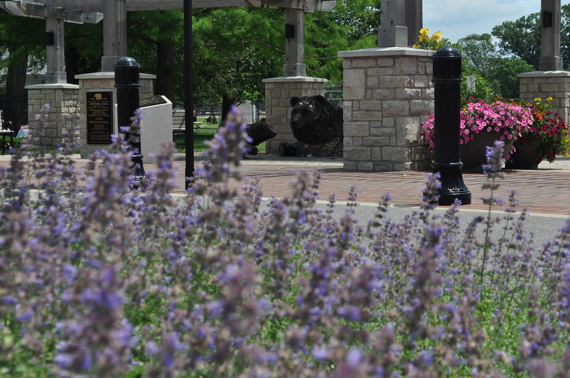 Centennial Plaza And Flowers